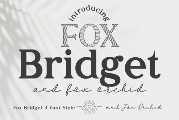 Evaluating the Fox Bridget and Fox Orchid Font Duo for Creative Design