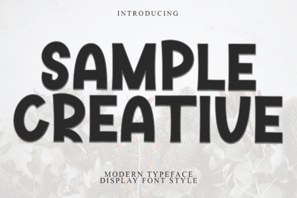 Sample Creative: Bold Display Font for Titles